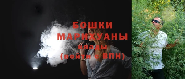 мдпв Богданович