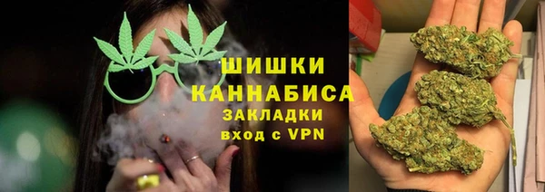 мдпв Богданович