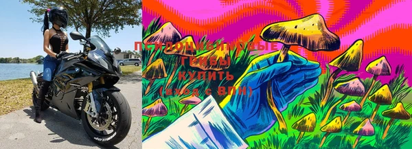 экстази Богородицк