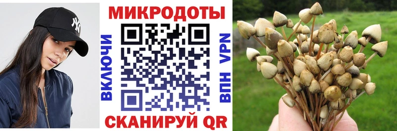 где купить наркоту  Сургут  Галлюциногенные грибы GOLDEN TEACHER 
